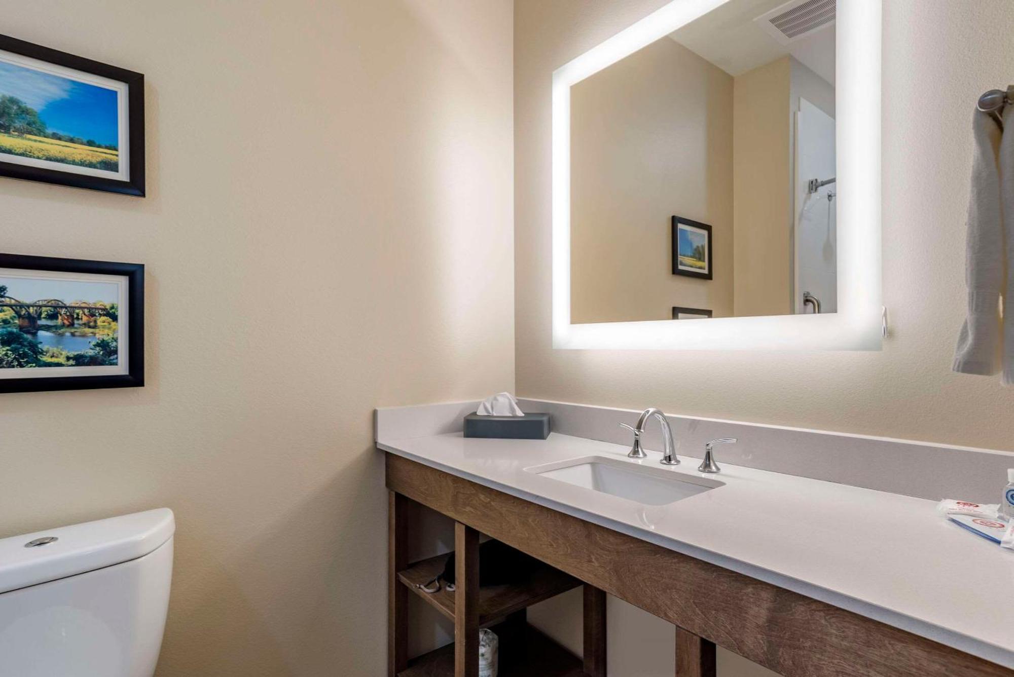 Comfort Inn & Suites Downtown Near University Tuscaloosa Luaran gambar